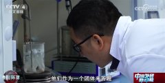    多行动鞭策纺织财产攀“高”向“新”